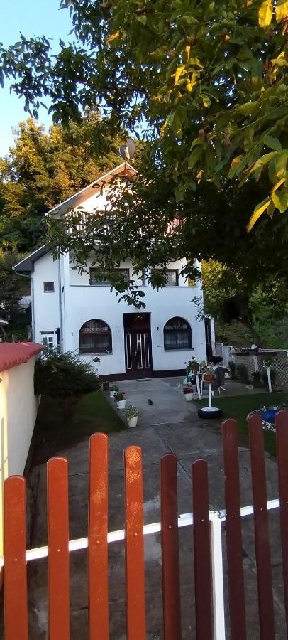 Sobe Lara Apartment Donji Milanovac Luaran gambar