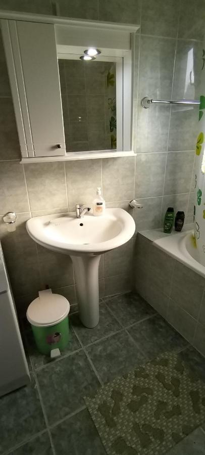 Sobe Lara Apartment Donji Milanovac Luaran gambar