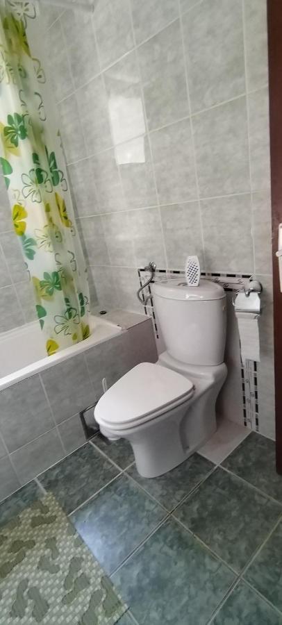 Sobe Lara Apartment Donji Milanovac Luaran gambar