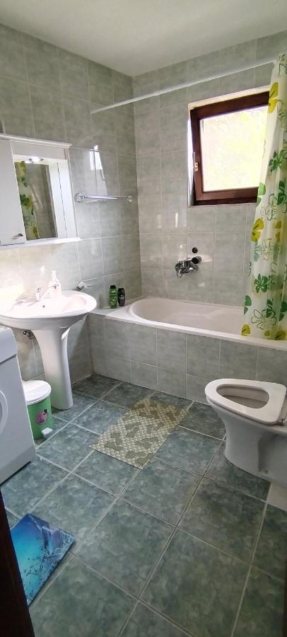 Sobe Lara Apartment Donji Milanovac Luaran gambar