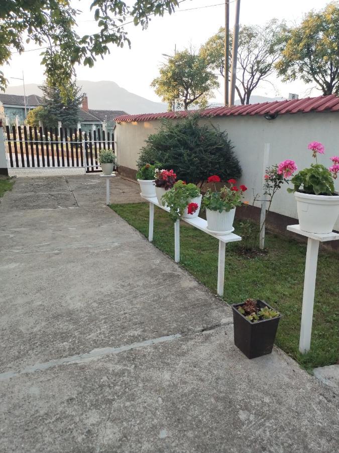 Sobe Lara Apartment Donji Milanovac Luaran gambar