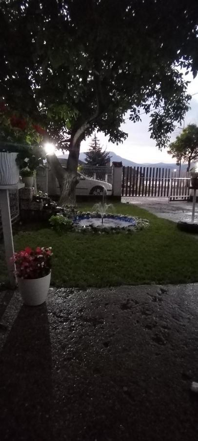 Sobe Lara Apartment Donji Milanovac Luaran gambar