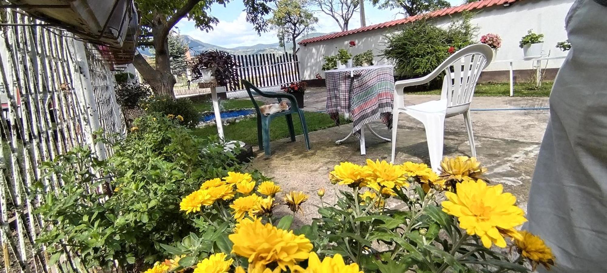 Sobe Lara Apartment Donji Milanovac Luaran gambar