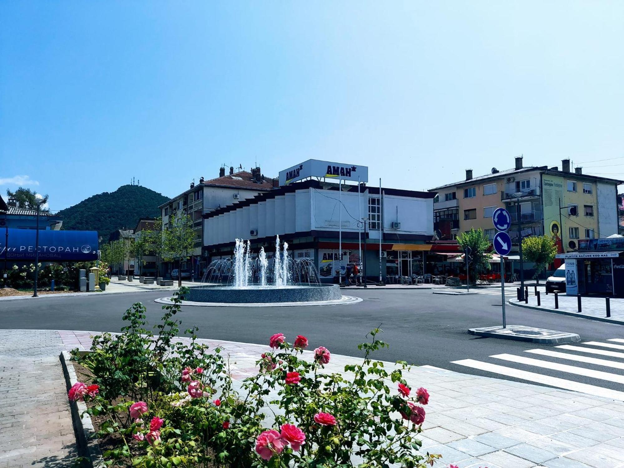 Sobe Lara Apartment Donji Milanovac Luaran gambar